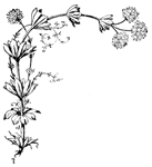 コーナー飾り枠